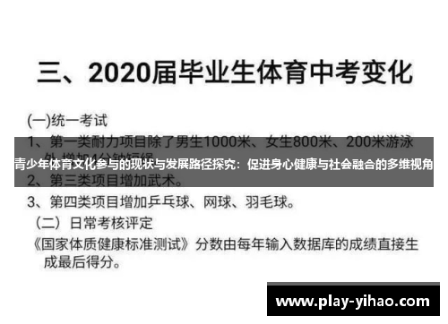 青少年体育文化参与的现状与发展路径探究：促进身心健康与社会融合的多维视角