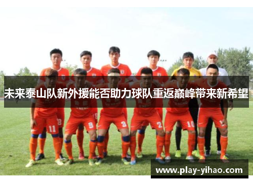 未来泰山队新外援能否助力球队重返巅峰带来新希望