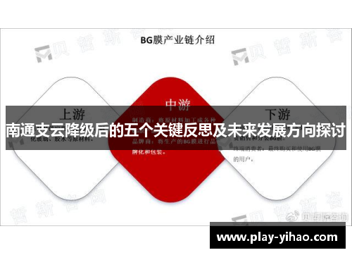 南通支云降级后的五个关键反思及未来发展方向探讨