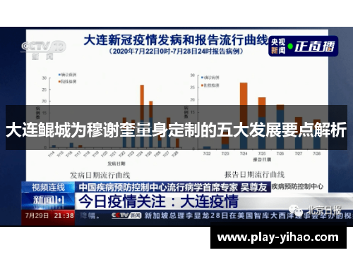 大连鲲城为穆谢奎量身定制的五大发展要点解析