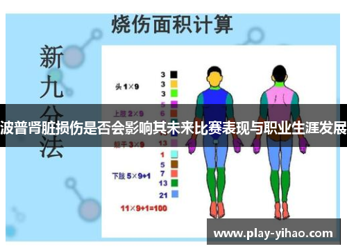 波普肾脏损伤是否会影响其未来比赛表现与职业生涯发展