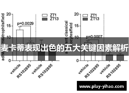 麦卡蒂表现出色的五大关键因素解析