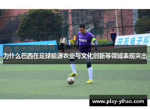 为什么巴西在足球能源农业与文化创新等领域表现突出